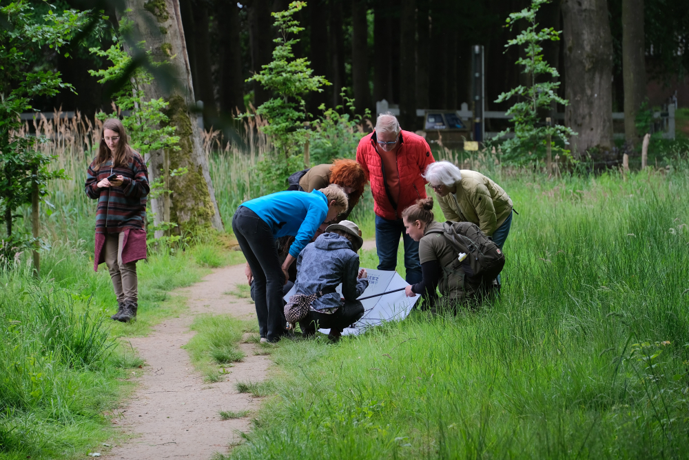 Feest van de Natuur