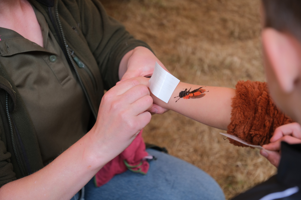 Feest van de Natuur