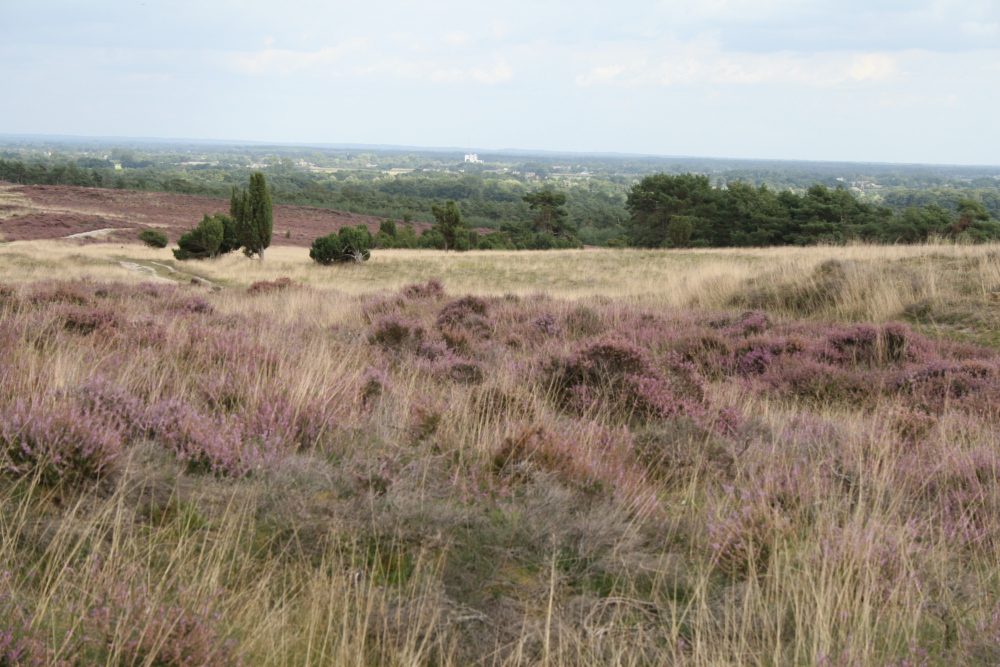 Zicht vanaf het hoogste punt op de Lemelerberg