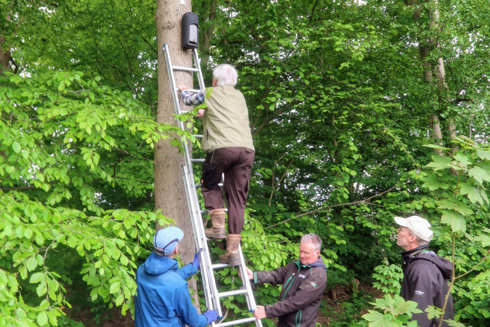 Vrijwilligers monitoren vleermuiskasten