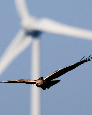 Windturbine