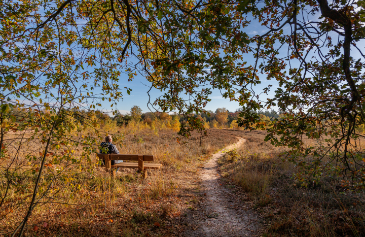 LO18675-Gonny Sleurink