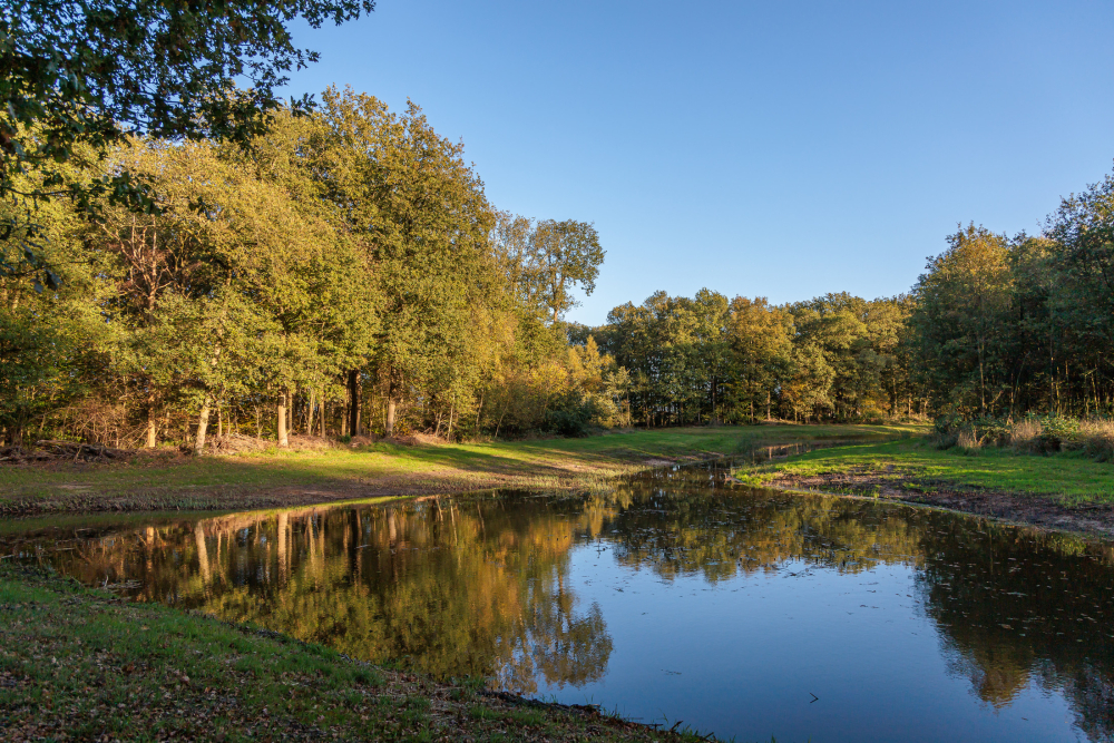 Vijver op Soeslo 