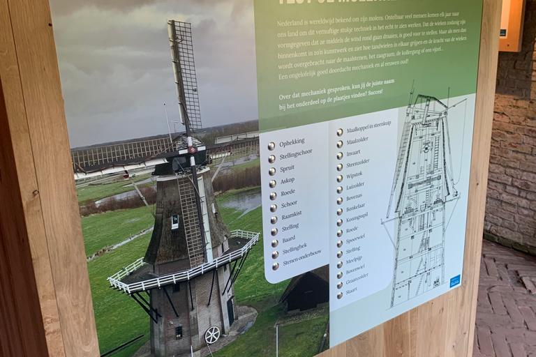 WhatsApp Image 2023-06-13 at 11.10.17