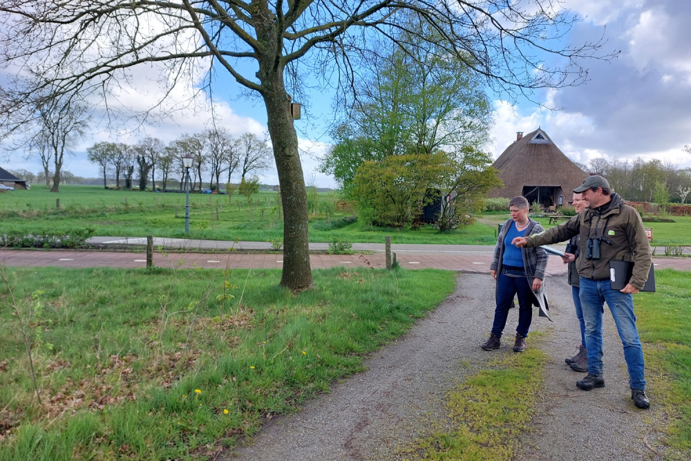 jonge aanplant in een landschapselement te Beerze