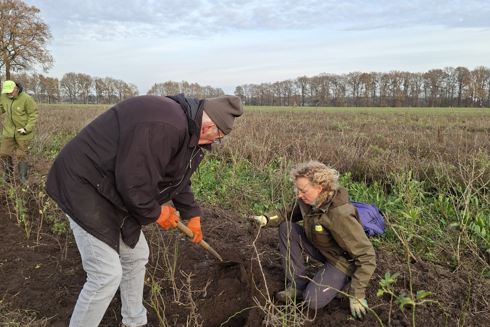 Plantdag Landgoed Junne