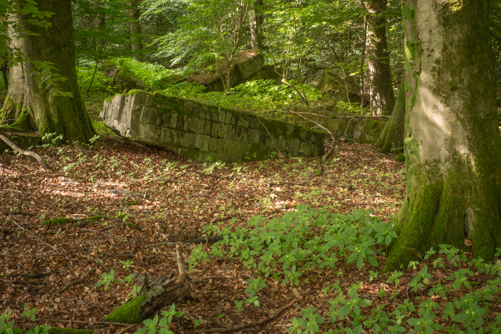 7-Vladimir Dobrasinovic