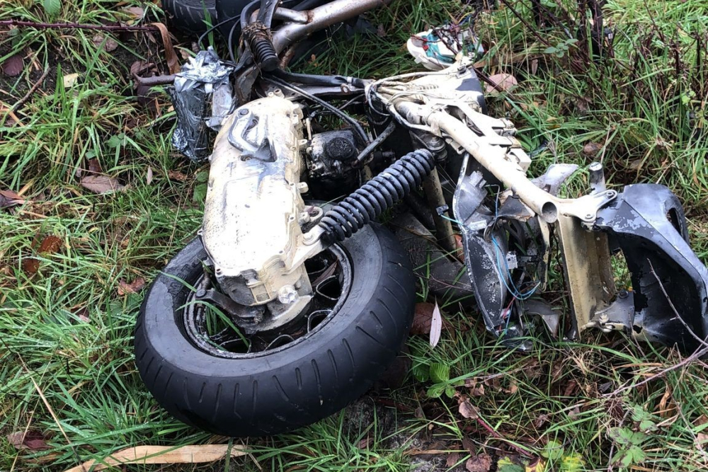 WhatsApp Image 2026-03-31 at 10.39.18 (1)