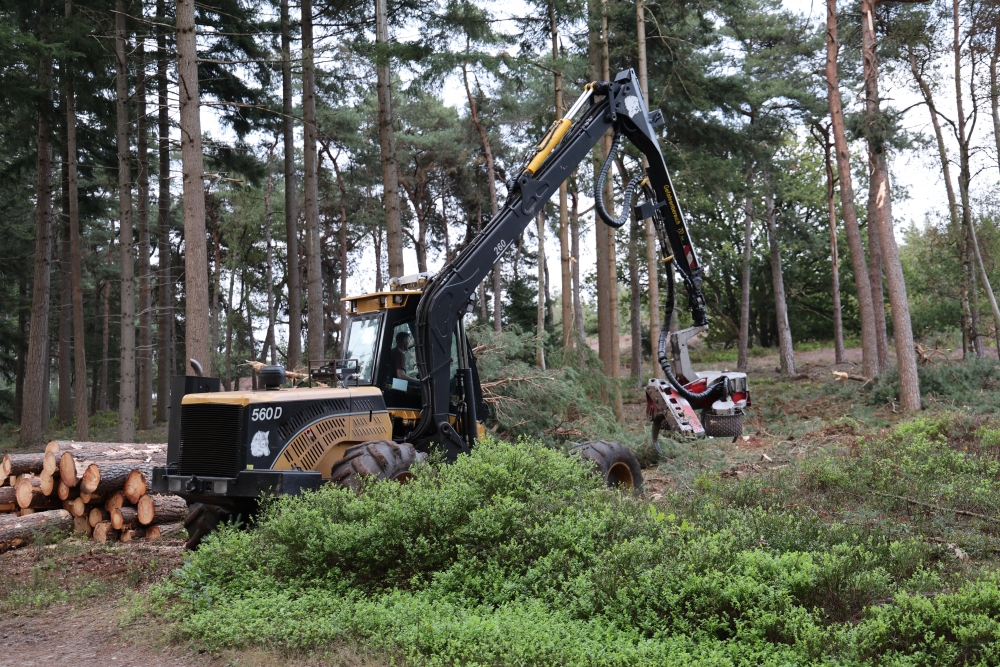 N2000 excursie Lemelerberg 15092026 (28)
