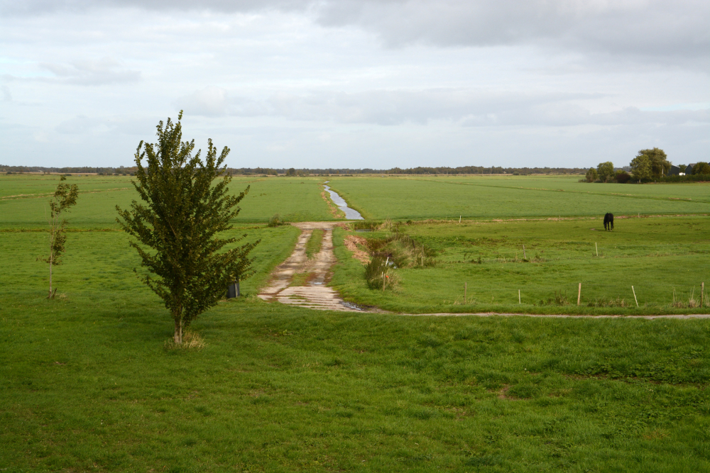 De Noorderpolder, Nico Kloek