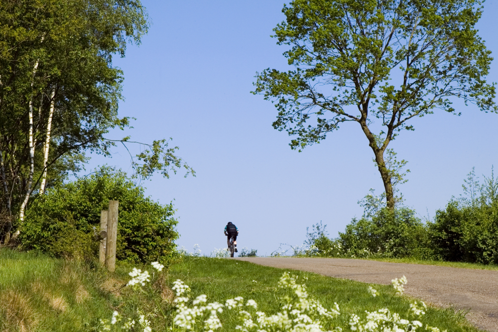 Luttenberg, fietser