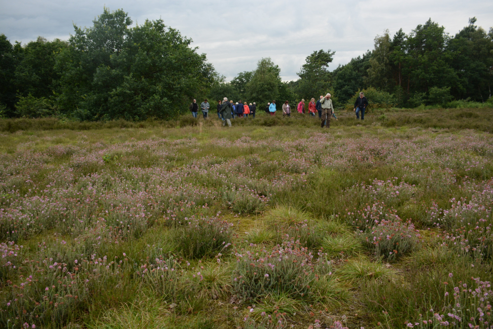 Akkerkruiden Dal van de Mosbeek