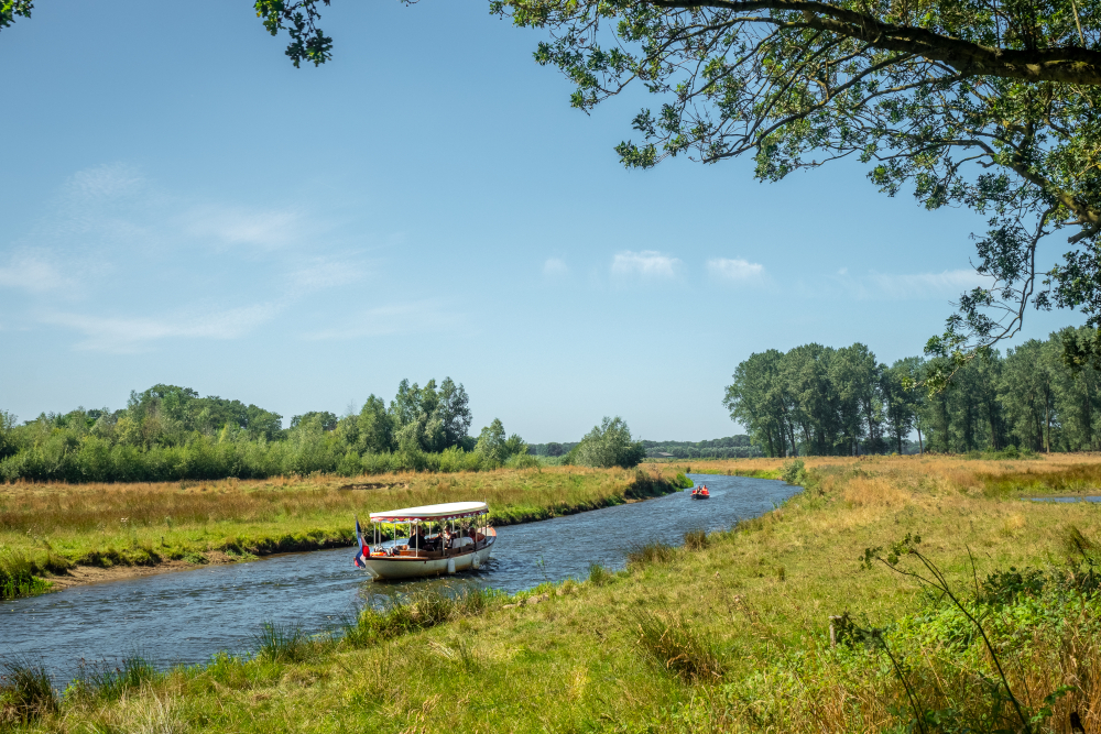 Regge bij de Leijerweerdslanden