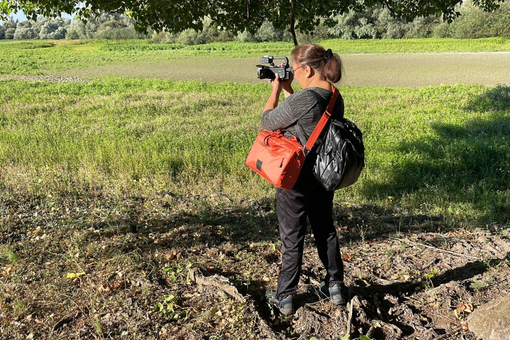 Henny de Joode filmt erf Menkveld (Olst)