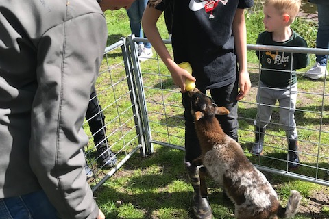 Snuffelen lente, Moniek 3