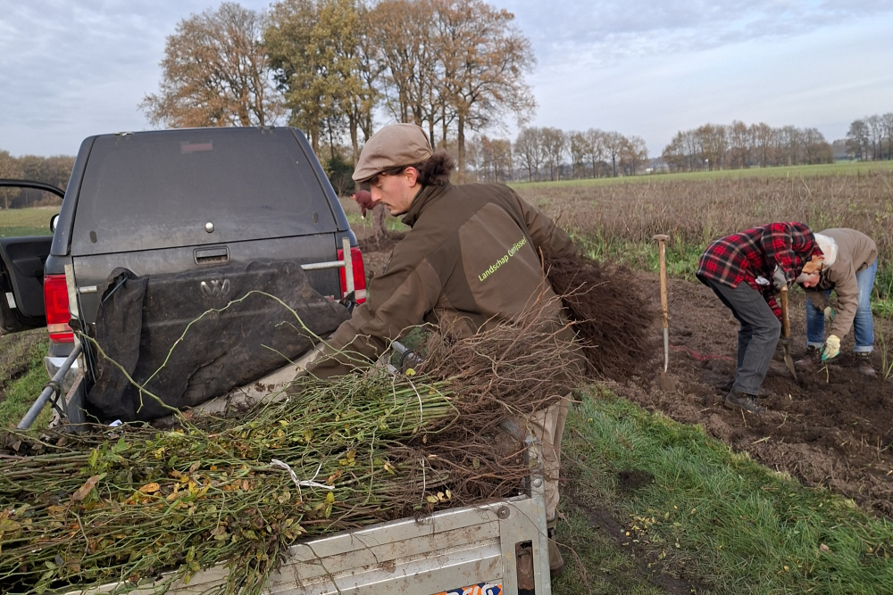 Plantdag Landgoed Junne