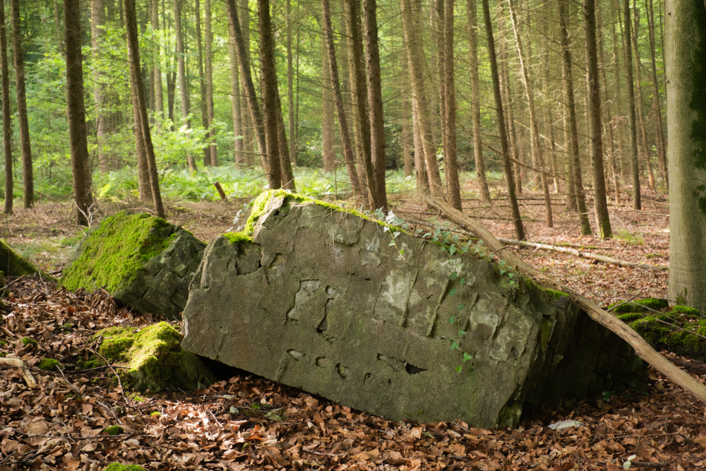 3-Vladimir Dobrasinovic