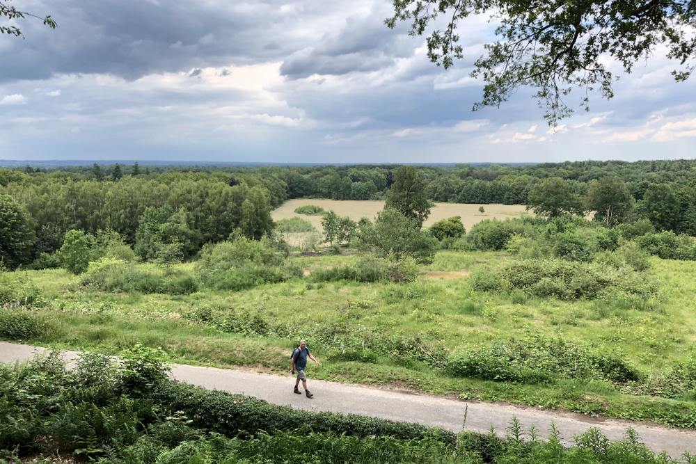 Stuwwal Landschap Overijssel Stuwwal Landschap Overijssel