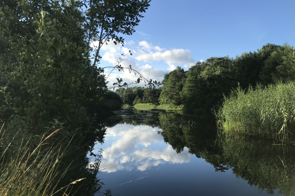 De Regge in Hellendoorn