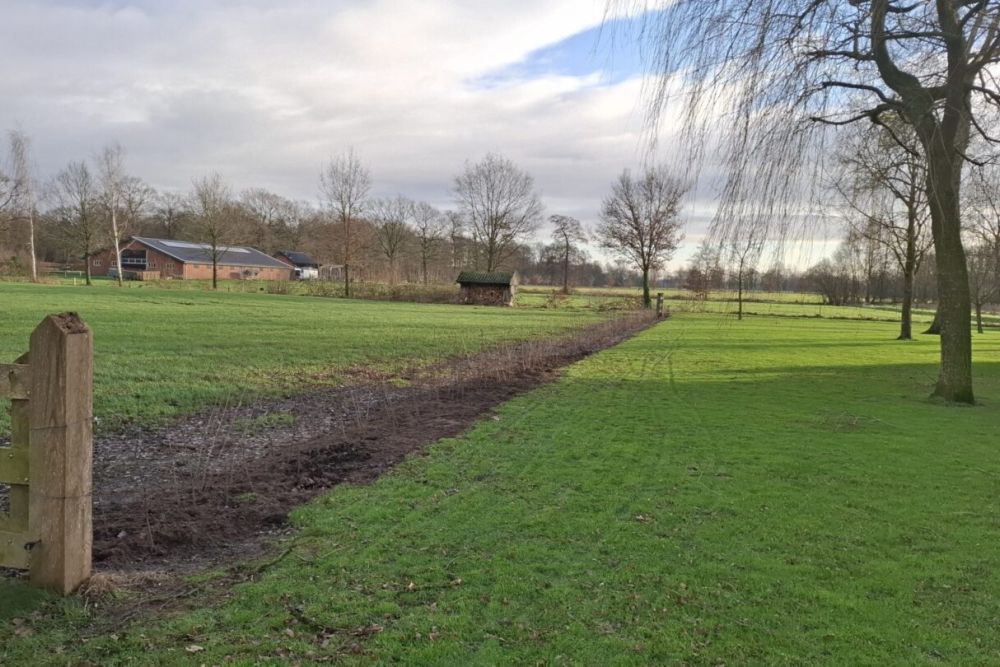 Trees-for-All-GBDA-Overijssel-4-scaled-1440x0-c-default