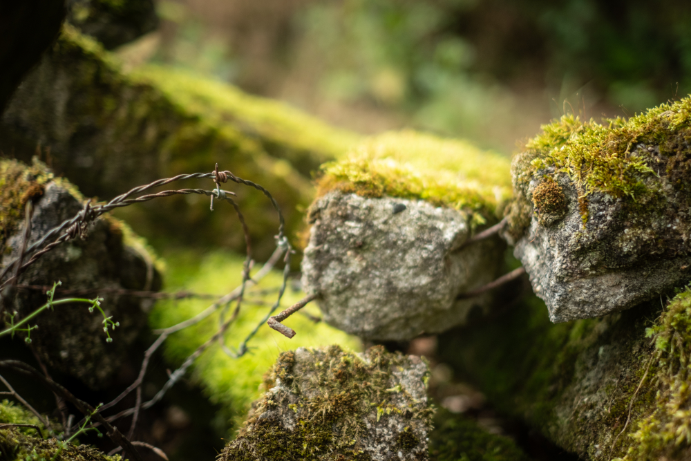 12-Vladimir Dobrasinovic