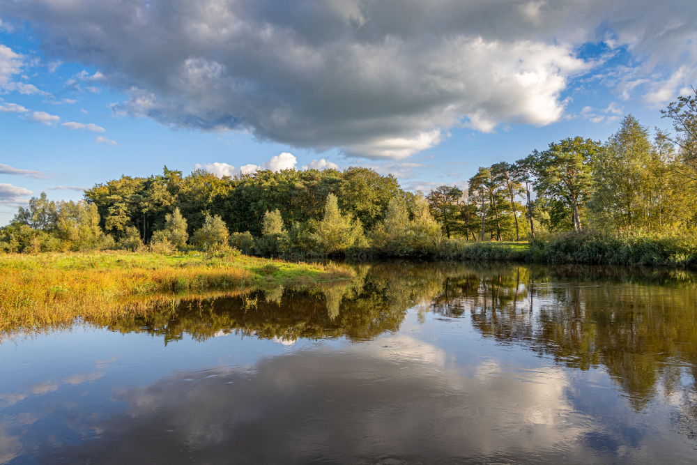 LO18778-Gonny Sleurink