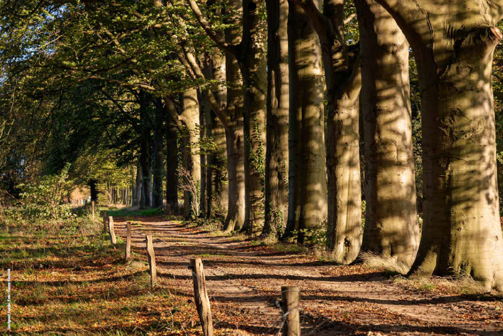 Kalender - Landgoed Stroink