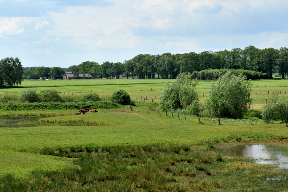 Beekdallandschap Twente