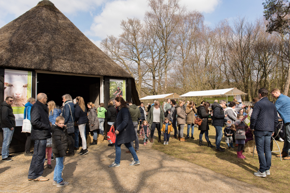 Lammetjesdag Schaapskooi Lemelerberg