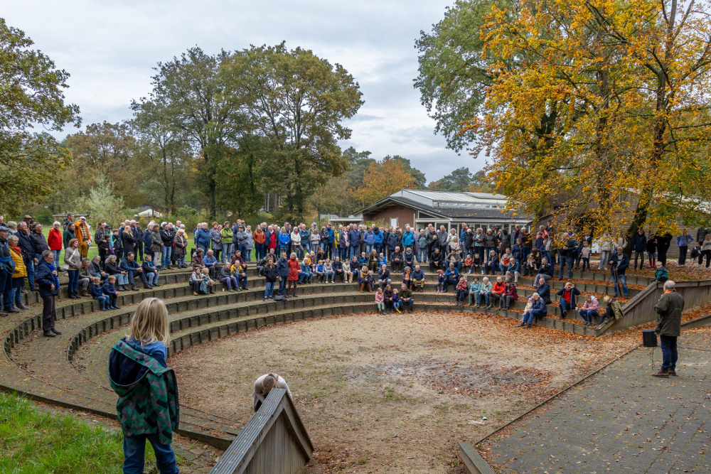 Op bezoek bij de schaapskudde