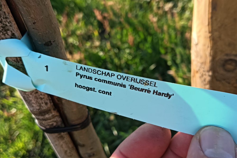 WhatsApp Image 2025-06-16 at 14.43.56