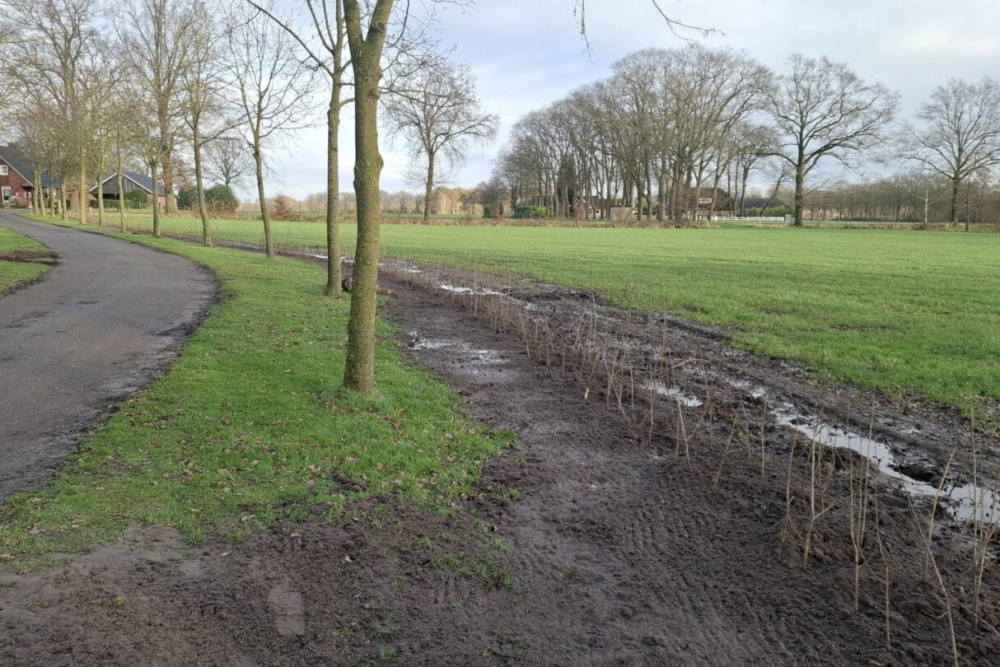 Trees-for-All-GBDA-Overijssel-3-scaled-1440x0-c-default