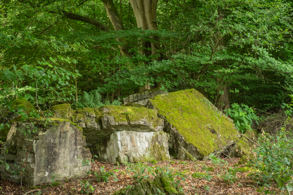 10-Vladimir Dobrasinovic