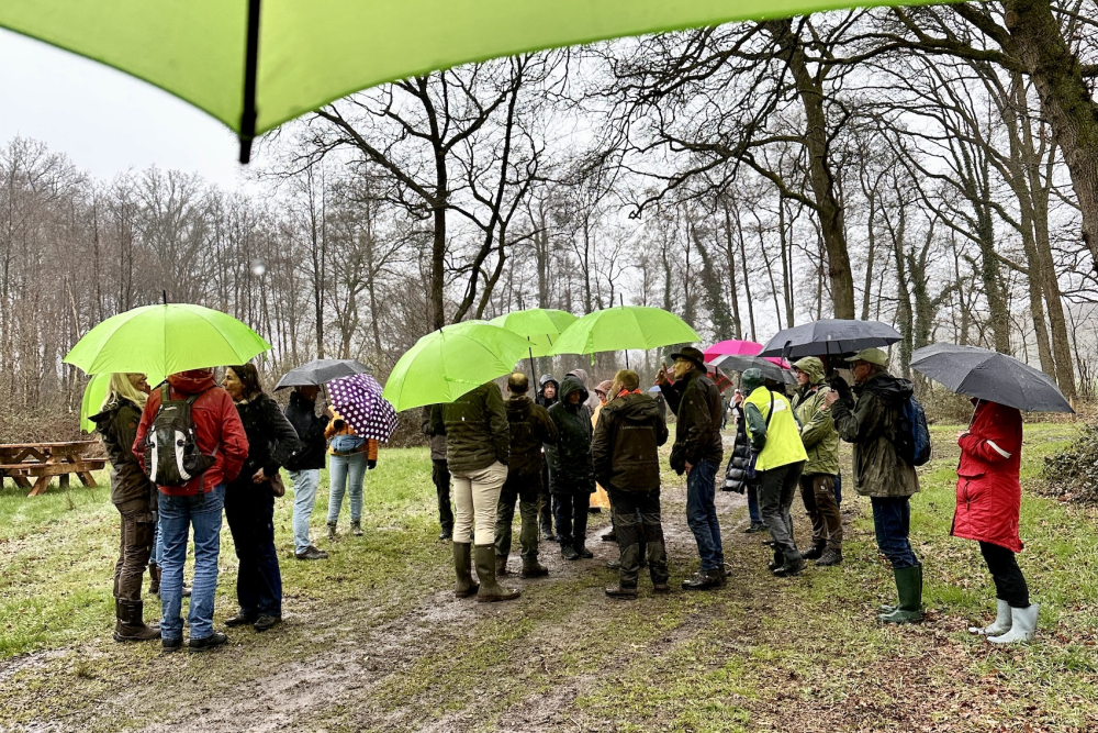 Rondleiding over een nat Oosterveld
