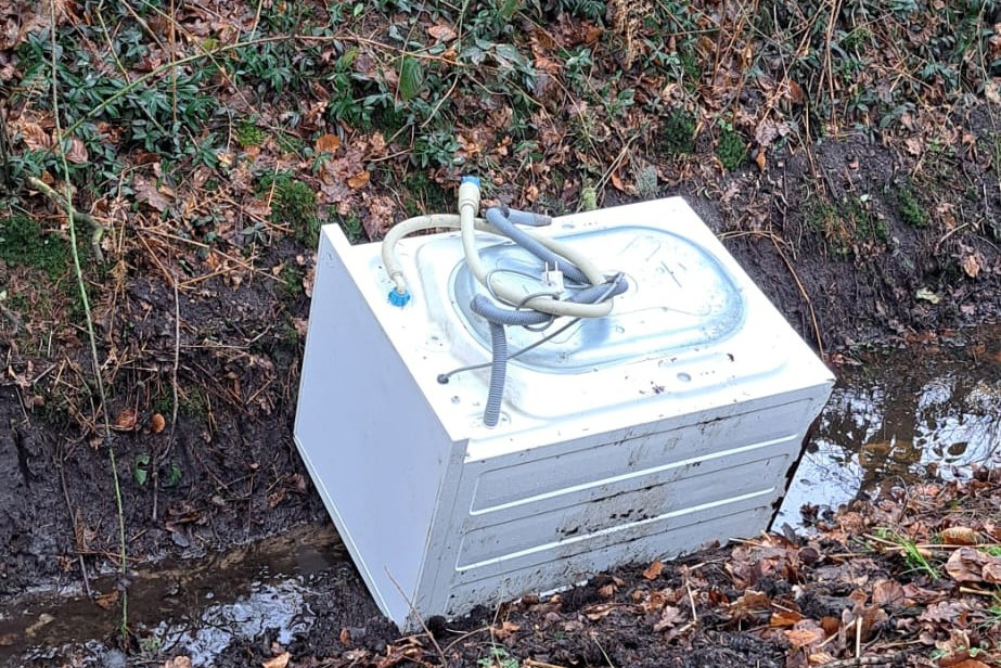 WhatsApp Image 2026-03-31 at 10.39.19 (7)