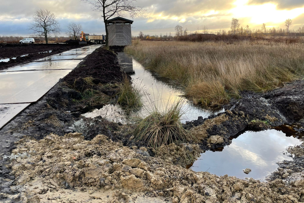 Aamsveen