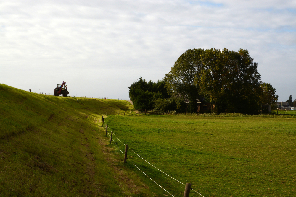 Dijk langs de Noorderpolder, Nico Kloek