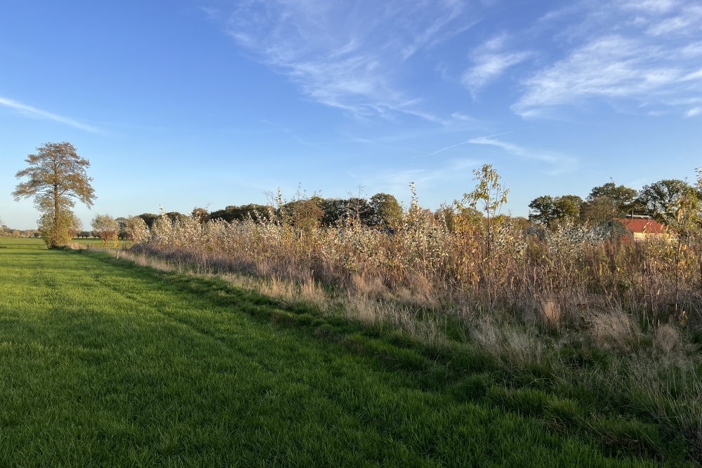 Buurtschap Elshof Wijhe