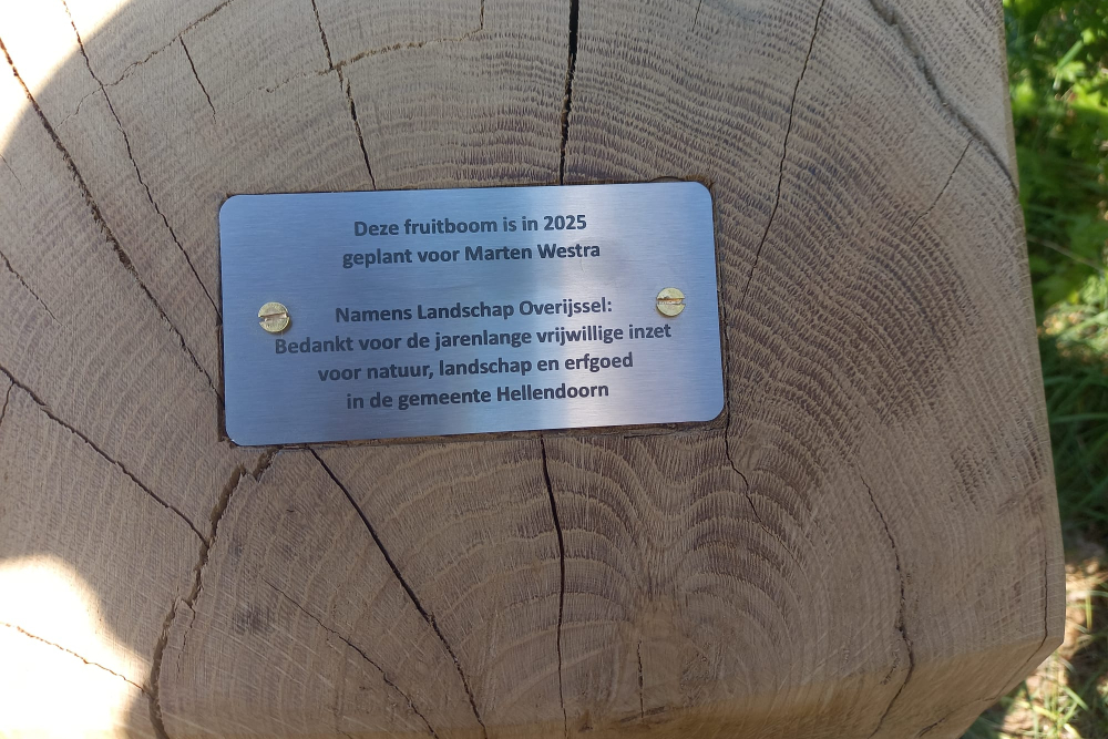 WhatsApp Image 2025-06-16 at 14.43.56 (1)