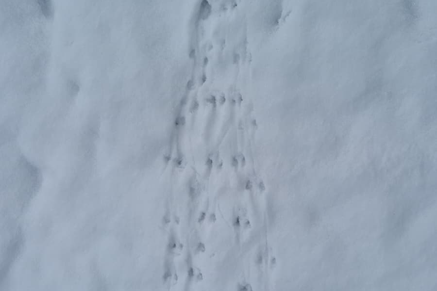 WhatsApp Image 2026-01-06 at 12.48.32