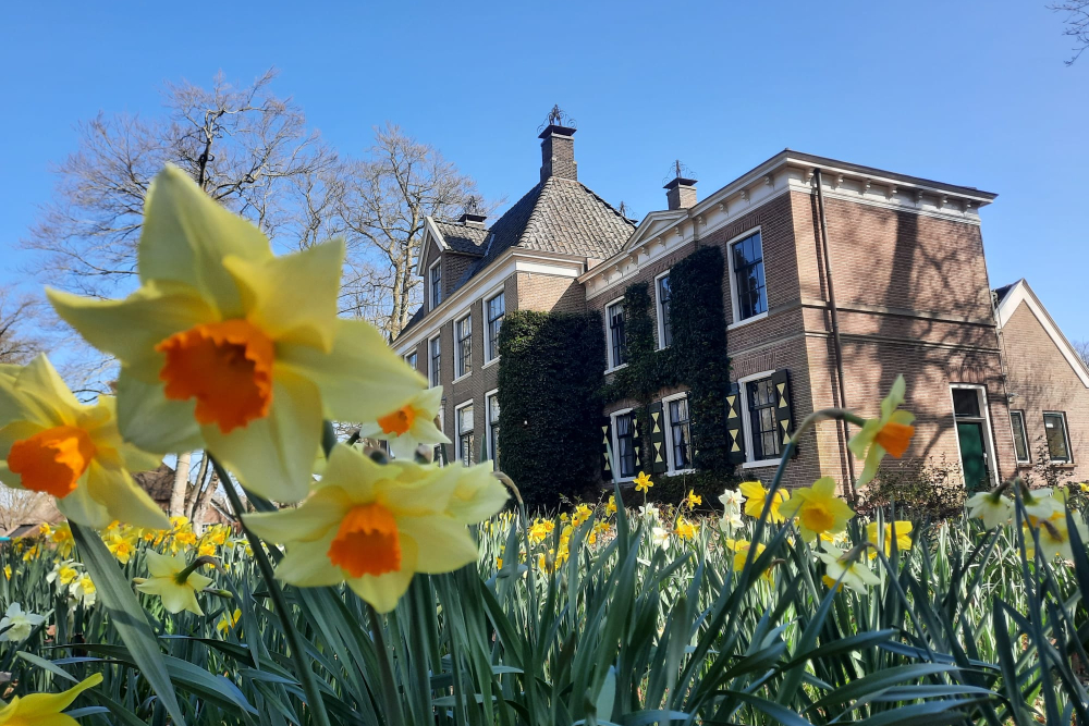 narcis Horte-Carin de Cloe