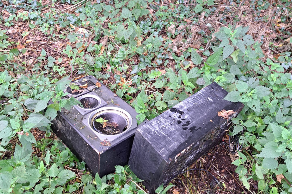 WhatsApp Image 2026-03-31 at 10.39.19 (8)