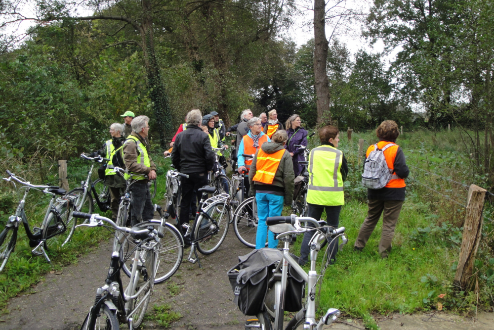 Fietsen bij de Regge - Landschap Overijssel