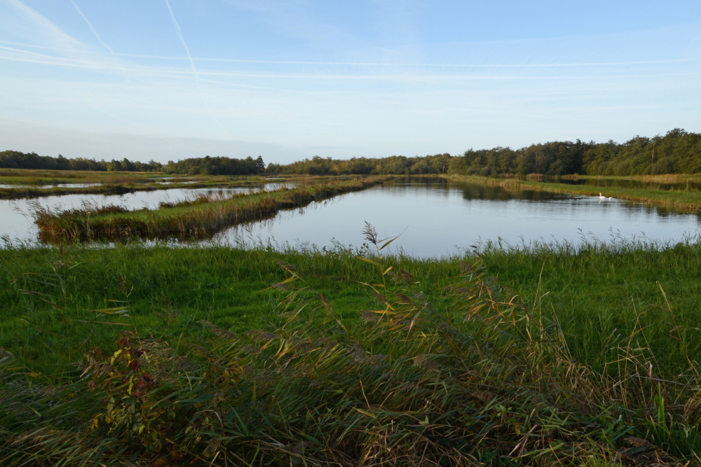 Nog zichtbare petgaten en legakkers in Scheerwolde, Nico Kloek