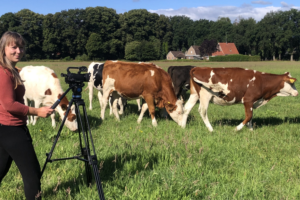 Stefanie Bos filmt erf Kleinlangevelsloo (Raalte)