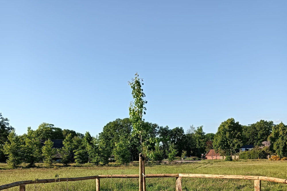 WhatsApp Image 2025-06-16 at 14.43.55 (1)