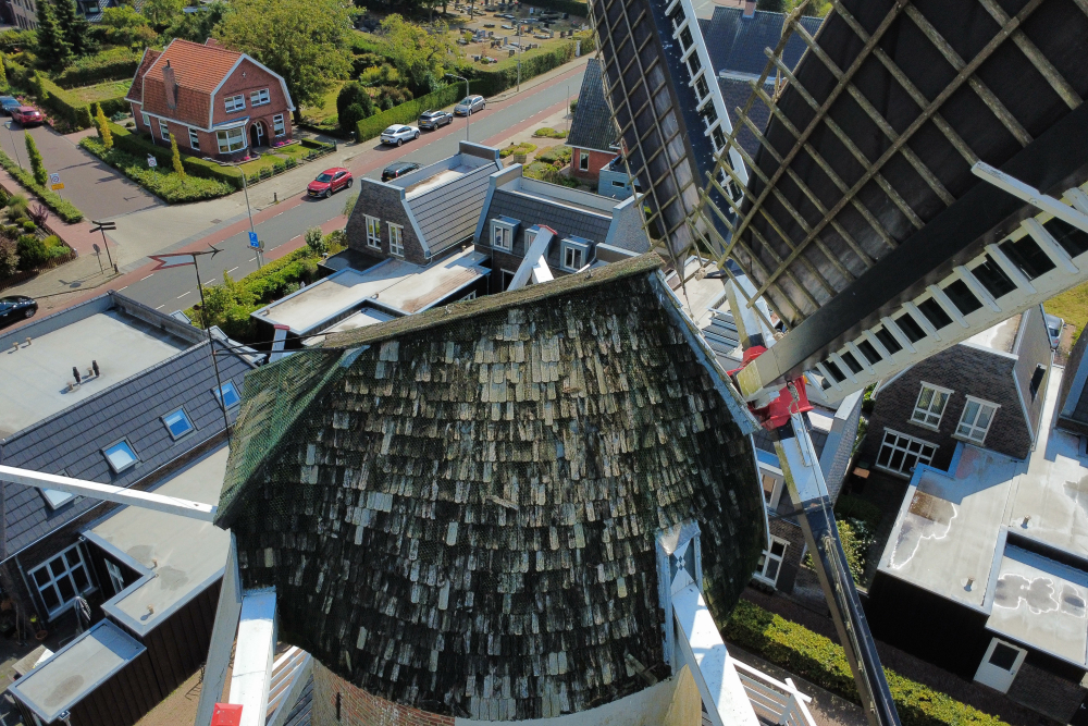 dji_fly_20250830_124444_642_1756550747073_photo_optimized