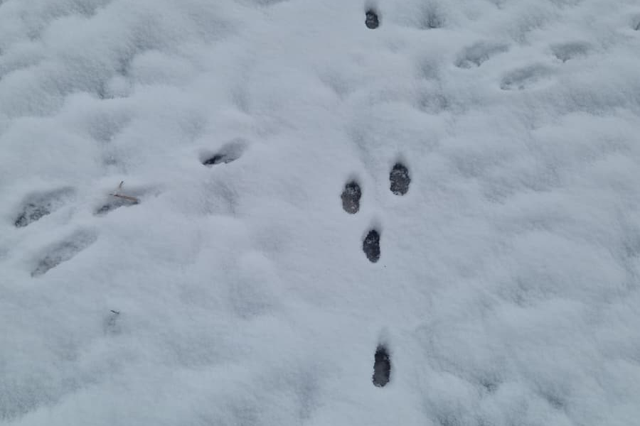 WhatsApp Image 2026-01-06 at 12.48.30