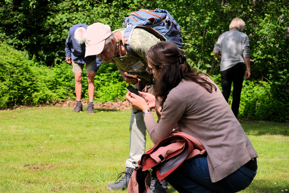 veldfeest 26 (18)