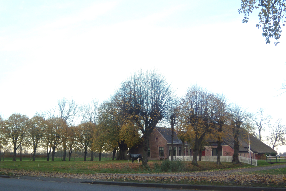 Linde bij boerderij Kristianne van der Put